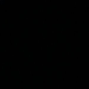 Meet your Posher, Kendall